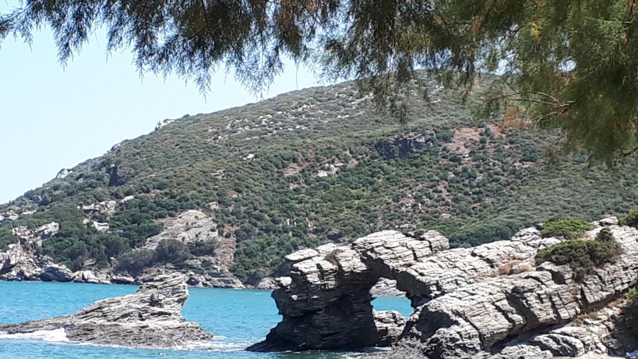 Ellina'S Home - Euboea Island Greece Oxílithos Zewnętrze zdjęcie